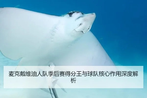 麦克戴维油人队季后赛得分王与球队核心作用深度解析