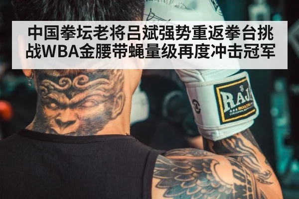 中国拳坛老将吕斌强势重返拳台挑战WBA金腰带蝇量级再度冲击冠军