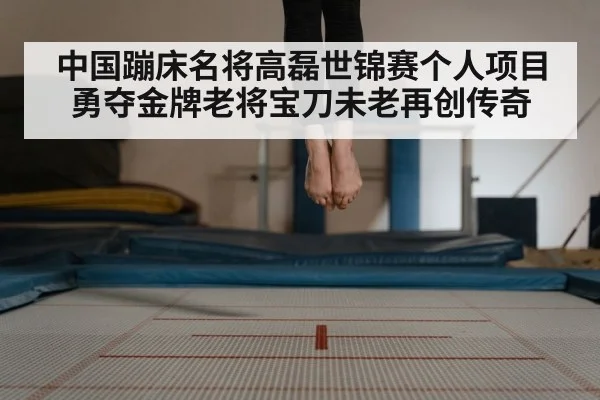 中国蹦床名将高磊世锦赛个人项目勇夺金牌老将宝刀未老再创传奇